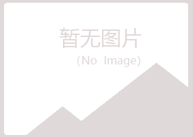 六安裕安紫山建设有限公司